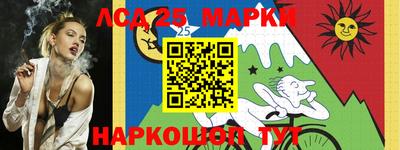индика Бийск