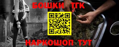 индика Бийск