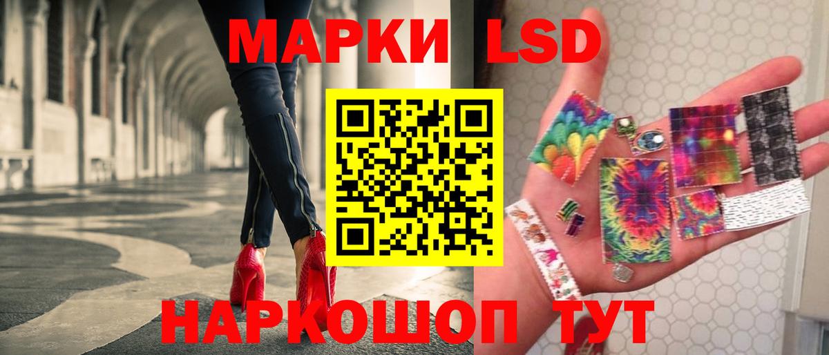 Альфа ПВП Вязники