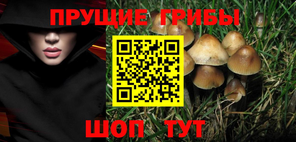 Галлюциногенные грибы ЛСД Вязники