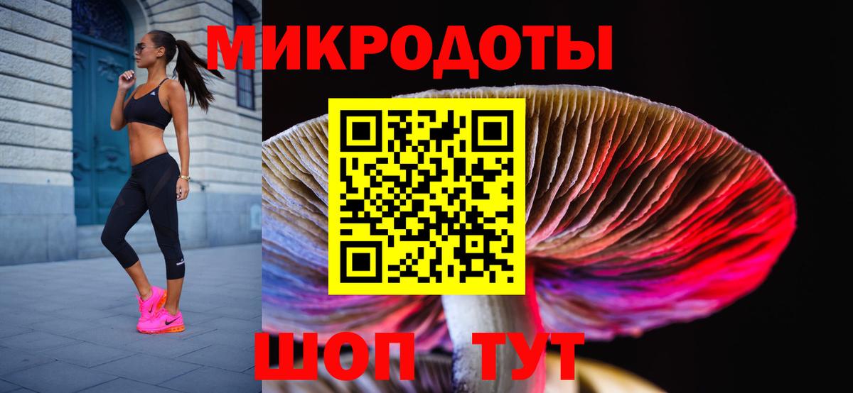 Вязники  Галлюциногенные грибы GOLDEN TEACHER  Вход с VPN 